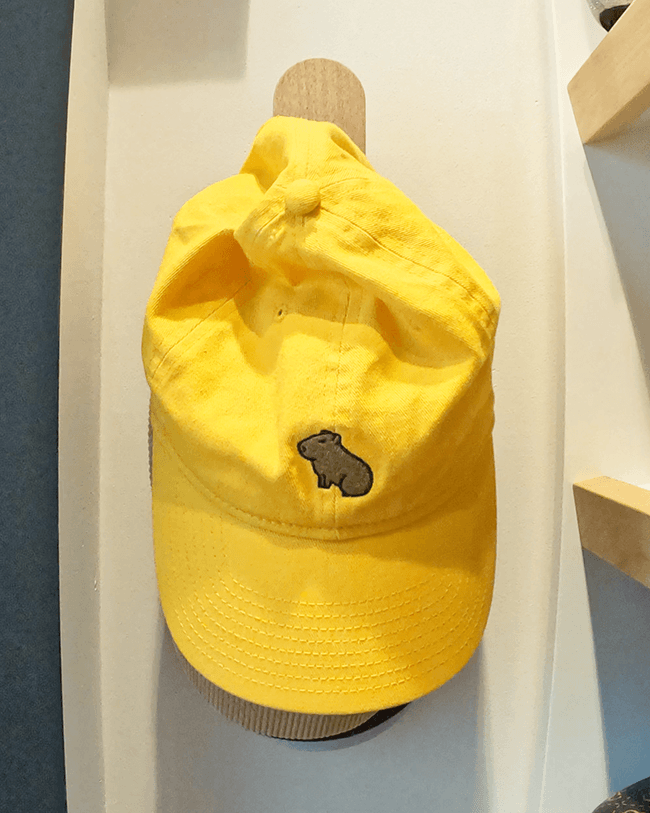 Solid wood hat and bag hooks with mid century modern design style